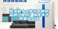 除湿机十大排名中哪些品牌口碑好？梅雨季节的最佳之选