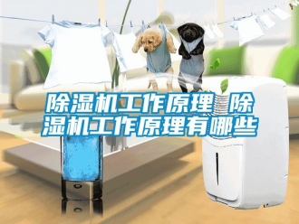 行业新闻除湿机工作原理 除湿机工作原理有哪些