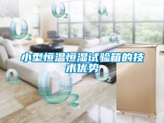 知识百科小型恒温恒湿试验箱的技术优势