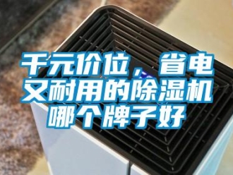 行业新闻千元价位，省电又耐用的除湿机哪个牌子好