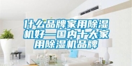 什么品牌家用除湿机好—国内十大家用除湿机品牌