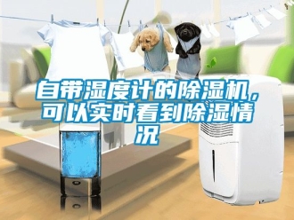 行业新闻自带湿度计的除湿机，可以实时看到除湿情况