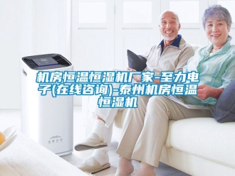 知识百科机房恒温恒湿机厂家-至力电子(在线咨询)-泰州机房恒温恒湿机