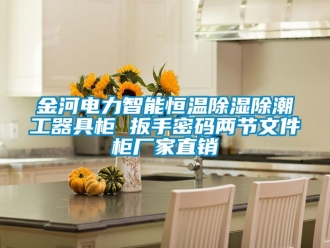 知识百科金河电力智能恒温除湿除潮工器具柜 扳手密码两节文件柜厂家直销