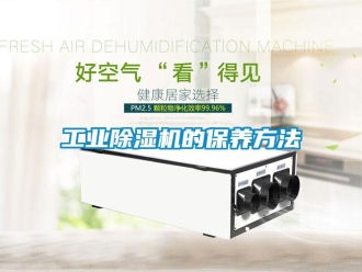 企业新闻工业除湿机的保养方法