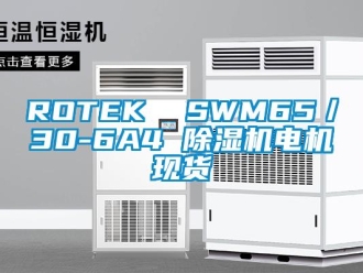 企业新闻ROTEK  SWM65／30-6A4 除湿机电机现货