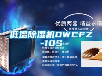 行业新闻低温除湿机DWCFZ-10S