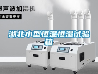 知识百科湖北小型恒温恒湿试验箱