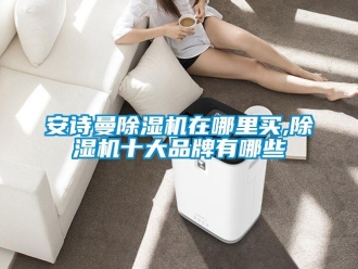 企业新闻安诗曼除湿机在哪里买,除湿机十大品牌有哪些