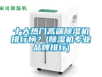 企业新闻十大热门高端除湿机排行榜？(除湿机专业品牌排行)
