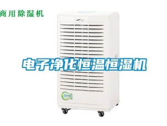 知识百科电子净化恒温恒湿机