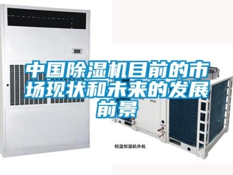 行业新闻中国除湿机目前的市场现状和未来的发展前景