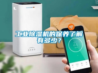企业新闻工业除湿机的保养了解有多少？