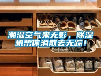 企业新闻潮湿空气来无影，除湿机帮你消散去无踪！