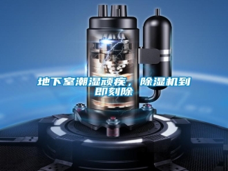 企业新闻地下室潮湿顽疾，除湿机到即刻除