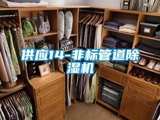 行业新闻供应14-非标管道除湿机