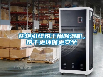 行业新闻花炮引线烘干用除湿机，烘干更环保更安全