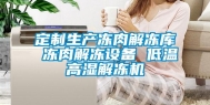 定制生产冻肉解冻库 冻肉解冻设备 低温高湿解冻机