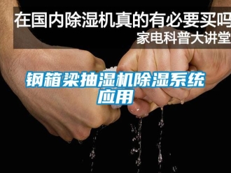 行业新闻钢箱梁抽湿机除湿系统应用