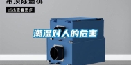 潮湿对人的危害