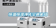 恒温恒湿净化空调机组