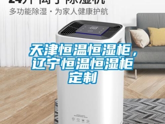 知识百科天津恒温恒湿柜，辽宁恒温恒湿柜定制