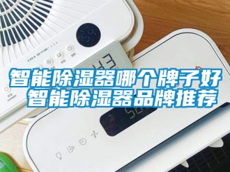 行业新闻智能除湿器哪个牌子好 智能除湿器品牌推荐