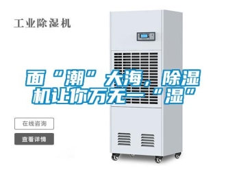 行业新闻面“潮”大海，除湿机让你万无一“湿”