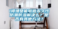 1楼墙壁能够做永久性防潮防湿解决么？是否有其他方法？