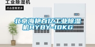 北京海艳百亿工业除湿机HYBY-10KG