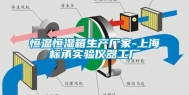 恒温恒湿箱生产厂家-上海标承实验仪器工厂