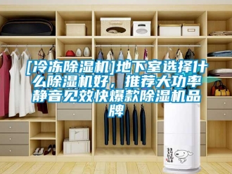 企业新闻[冷冻除湿机]地下室选择什么除湿机好，推荐大功率静音见效快爆款除湿机品牌