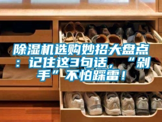 行业新闻除湿机选购妙招大盘点：记住这3句话，“剁手”不怕踩雷！