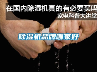 企业新闻除湿机品牌哪家好