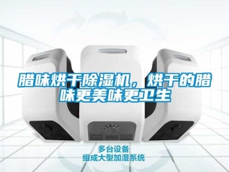 行业新闻腊味烘干除湿机，烘干的腊味更美味更卫生