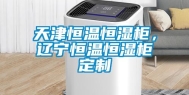 天津恒温恒湿柜，辽宁恒温恒湿柜定制