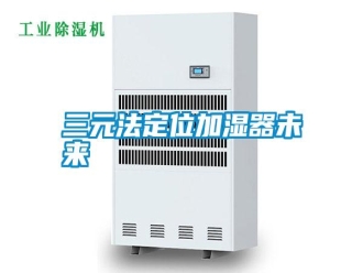 知识百科三元法定位加湿器未来