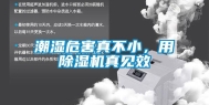 潮湿危害真不小，用除湿机真见效