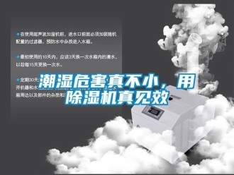 企业新闻潮湿危害真不小，用除湿机真见效