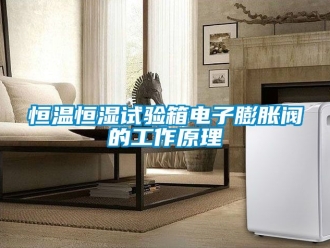 知识百科恒温恒湿试验箱电子膨胀阀的工作原理