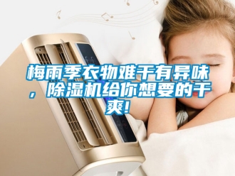 行业新闻梅雨季衣物难干有异味，除湿机给你想要的干爽!