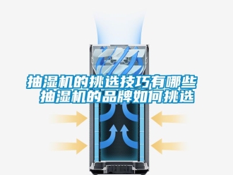 企业新闻抽湿机的挑选技巧有哪些 抽湿机的品牌如何挑选