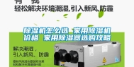 除湿机怎么选 家用除湿机价格 家用除湿器选购攻略