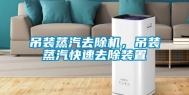 吊装蒸汽去除机，吊装蒸汽快速去除装置