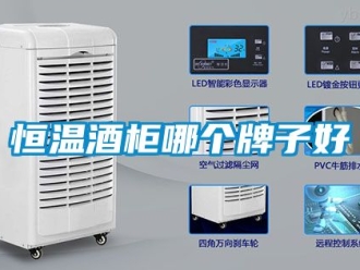 知识百科恒温酒柜哪个牌子好