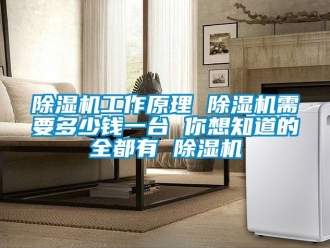 行业新闻除湿机工作原理 除湿机需要多少钱一台 你想知道的全都有 除湿机