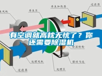 知识百科有空调就高枕无忧了？你还需要除湿机