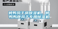 烤鸭风干房除湿机，烤鸭鸭胚风干专用除湿机