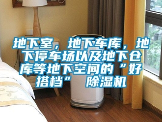 企业新闻地下室，地下车库，地下停车场以及地下仓库等地下空间的“好搭档” 除湿机