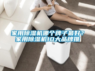 企业新闻家用除湿机哪个牌子最好？家用除湿机10大品牌推